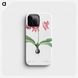 Netted-veined amaryllis illustration - ピエール ジョゼフ ルドゥーテ Phone Case.