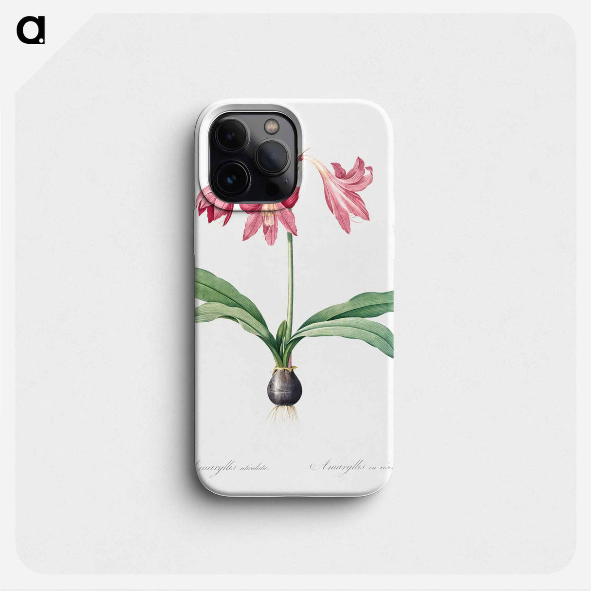 Netted-veined amaryllis illustration - Pierre Joseph Redouté Phone Case.