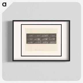 アートポスター-Running Fallow Deer
 - エドワード マイブリッジ Poster.