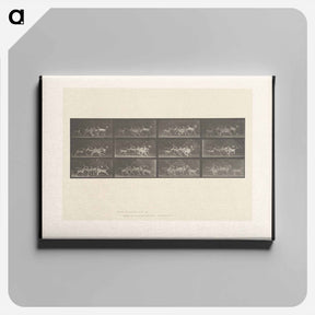 アートパネル-Running Fallow Deer
 - エドワード マイブリッジ Canvas.