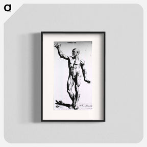 アートポスター-Muscles
 - 国立医学図書館 Poster.