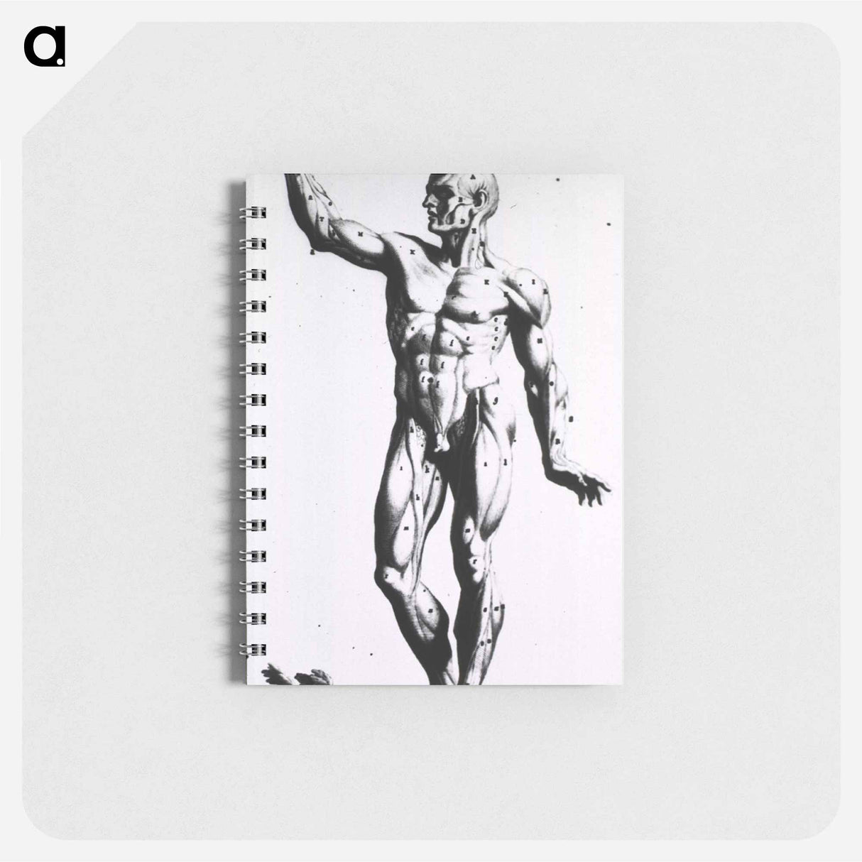 アートメモ帳-Muscles
 - 国立医学図書館 Memo.