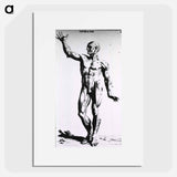 アートポスター-Muscles
 - 国立医学図書館 Poster.