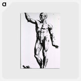 アートポストカード-Muscles
 - 国立医学図書館 Postcard.