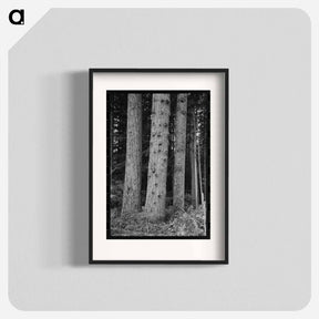 アートポスター-Trees on Long Bell Lumber Holdings
 - ラッセル リー Poster.