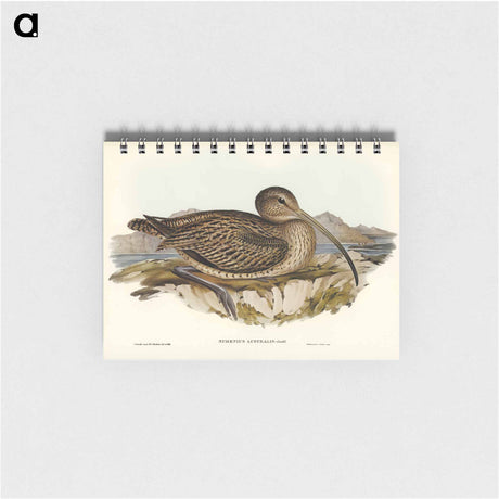 アートメモ帳-Australian Curlew
 - オーストラリアの鳥 Memo.