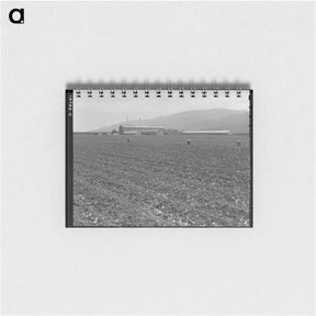 アートメモ帳-Spreckels sugar factory and sugar beet field with Mexican and Filipino workers thinning sugar beets - ドロテア ラング Memo.