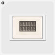 アートポストカード-Man Ascending Stairs
 - エドワード マイブリッジ Postcard.