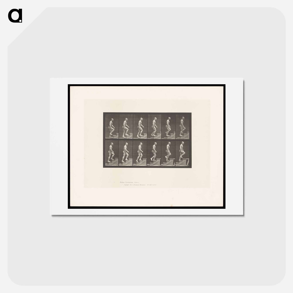 アートポストカード-Man Ascending Stairs
 - エドワード マイブリッジ Postcard.
