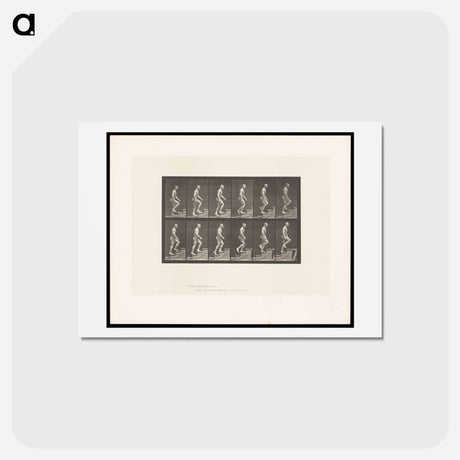 アートポストカード-Man Ascending Stairs
 - エドワード マイブリッジ Postcard.