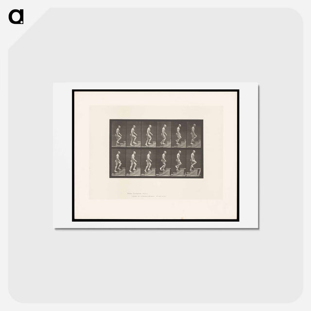 アートポストカード-Man Ascending Stairs
 - エドワード マイブリッジ Postcard.