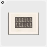 アートポストカード-Man Ascending Stairs
 - エドワード マイブリッジ Postcard.