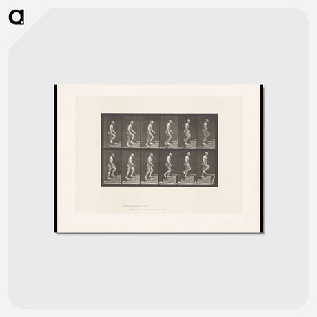 アートポストカード-Man Ascending Stairs
 - エドワード マイブリッジ Postcard.