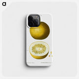 Citrus, Adam's apple, Pomum Adami - Pierre Joseph Redouté Phone Case.