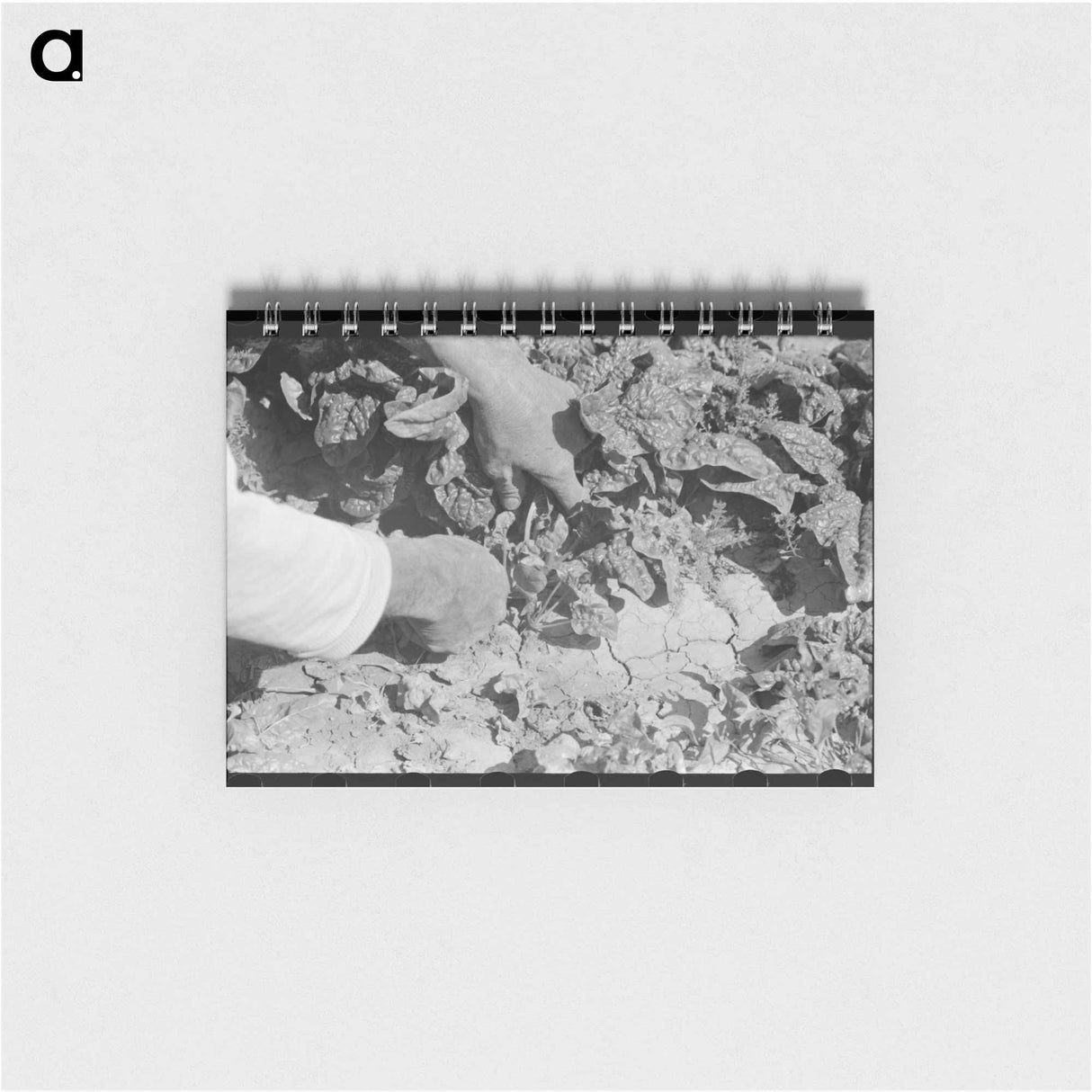 アートメモ帳-West Texas Wind
 - ラッセル リー Memo.