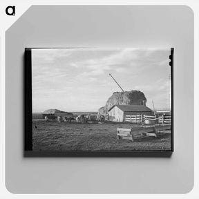 アートパネル-FSA Exhibit, Dallas
 - ラッセル リー Canvas.