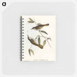 アートメモ帳-Cockerell's Honey-eater
 - オーストラリアの鳥 Memo.