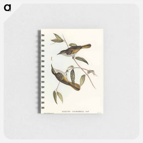 アートメモ帳-Cockerell's Honey-eater
 - オーストラリアの鳥 Memo.