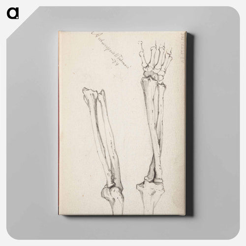 (unknown) part of a sketchbook - Albert Edelfelt Canvas.