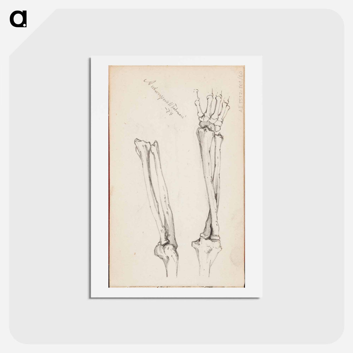 アートポストカード-(unknown) part of a sketchbook - アルバート エーデルフェルト Postcard.