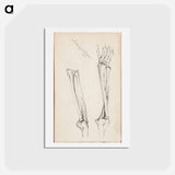アートポストカード-(unknown) part of a sketchbook - アルバート エーデルフェルト Postcard.