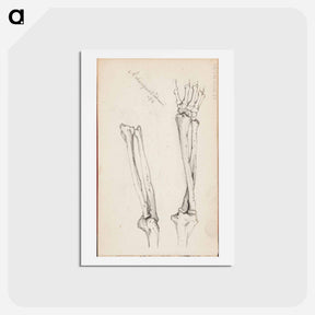 アートポストカード-(unknown) part of a sketchbook - アルバート エーデルフェルト Postcard.
