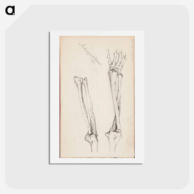 アートポストカード-(unknown) part of a sketchbook - アルバート エーデルフェルト Postcard.