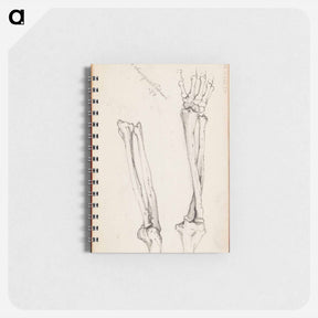 アートメモ帳-(unknown) part of a sketchbook - アルバート エーデルフェルト Memo.