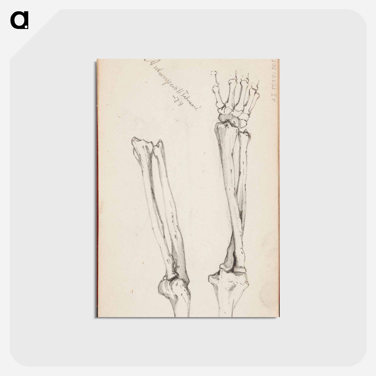 アートポストカード-(unknown) part of a sketchbook - アルバート エーデルフェルト Postcard.
