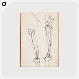 アートポストカード-(unknown) part of a sketchbook - アルバート エーデルフェルト Postcard.