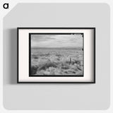 Abandoned farmland in the Columbia Basin - Dorothea Lange Poster.