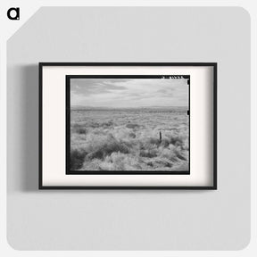 アートポスター-Abandoned farmland in the Columbia Basin - ドロテア ラング Poster.