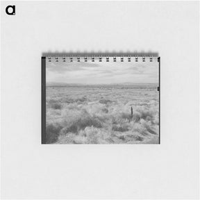 アートメモ帳-Abandoned farmland in the Columbia Basin - ドロテア ラング Memo.