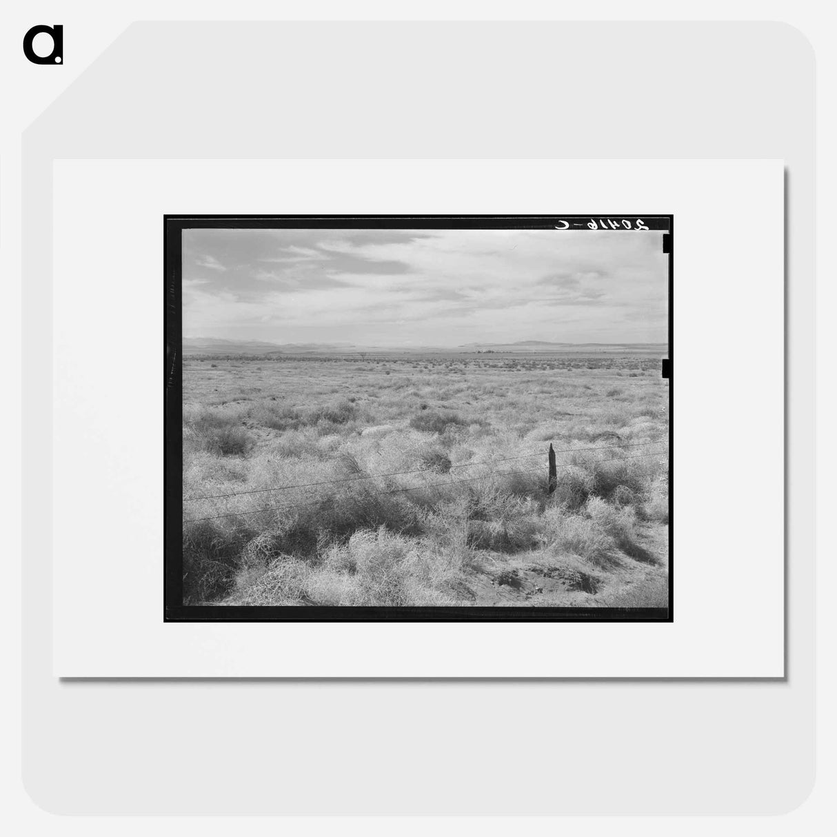 Abandoned farmland in the Columbia Basin - ドロテア ラング Poster.