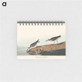 アートメモ帳-Semipalmated Sandpiper
 - ジョン ジェームス オーデュボン Memo.