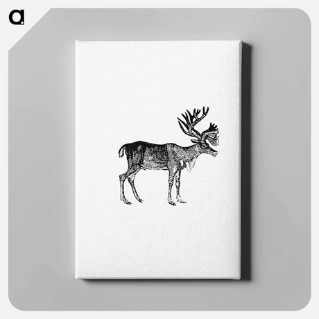 アートパネル-Reindeer Illustration
 - 大英図書館 Canvas.
