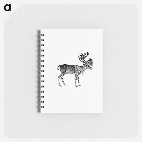 アートメモ帳-Reindeer Illustration
 - 大英図書館 Memo.