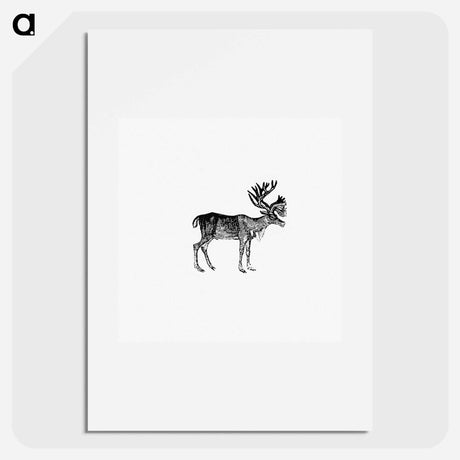 アートポスター-Reindeer Illustration
 - 大英図書館 Poster.