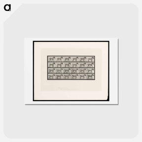 アートポストカード-Walking Horse
 - エドワード マイブリッジ Postcard.