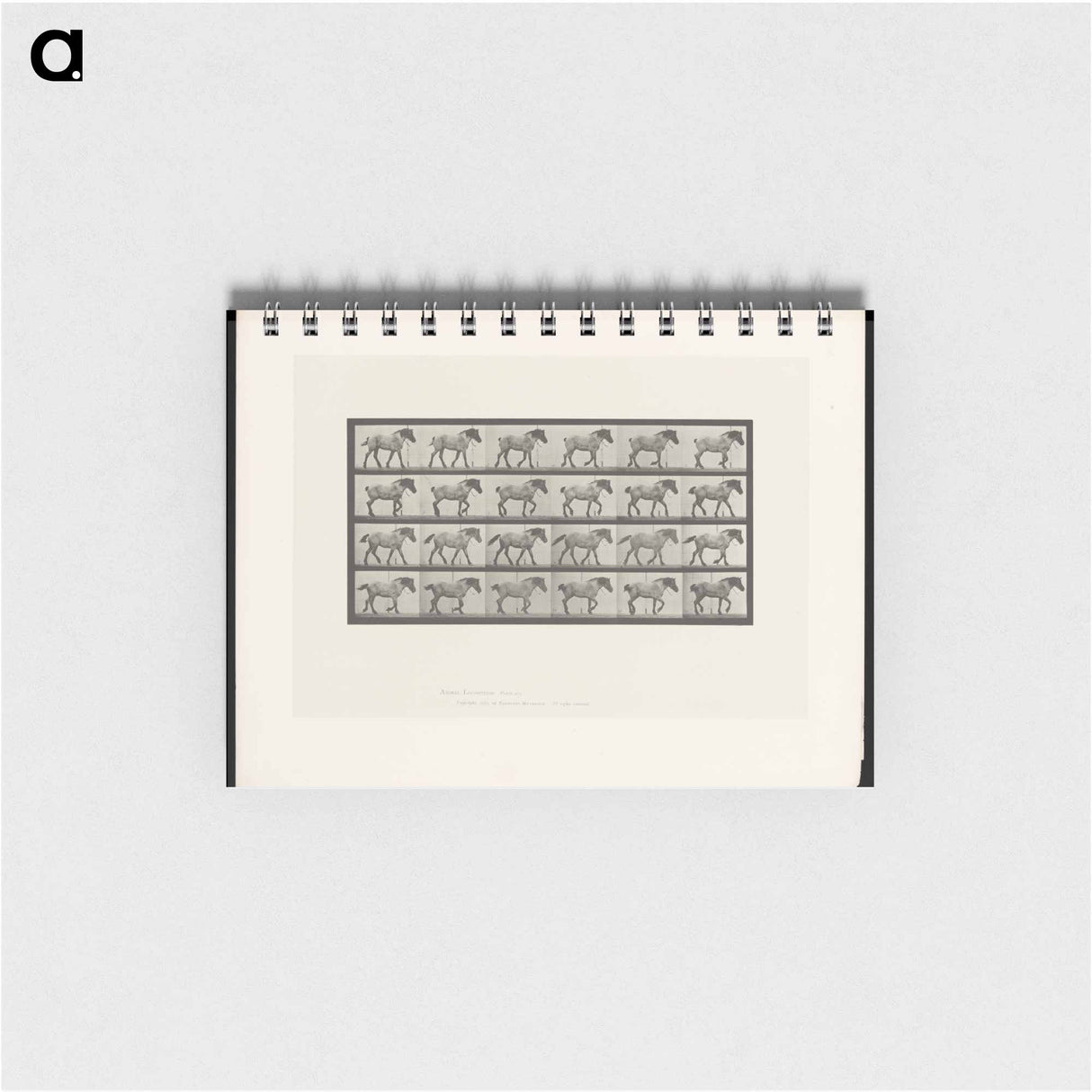 アートメモ帳-Walking Horse
 - エドワード マイブリッジ Memo.