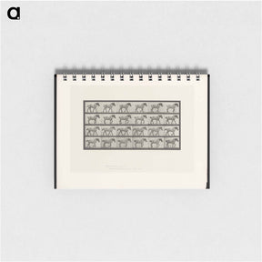 アートメモ帳-Walking Horse
 - エドワード マイブリッジ Memo.