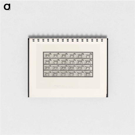 アートメモ帳-Walking Horse
 - エドワード マイブリッジ Memo.
