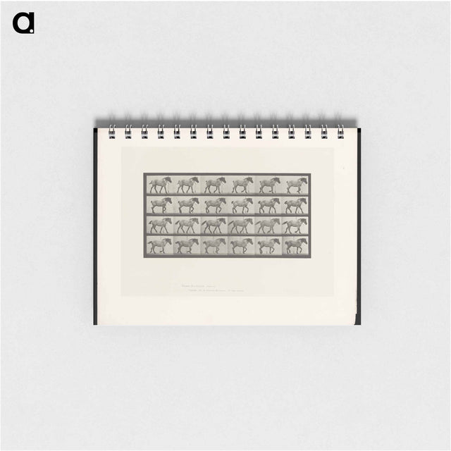 アートメモ帳-Walking Horse
 - エドワード マイブリッジ Memo.