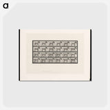 アートポストカード-Walking Horse
 - エドワード マイブリッジ Postcard.