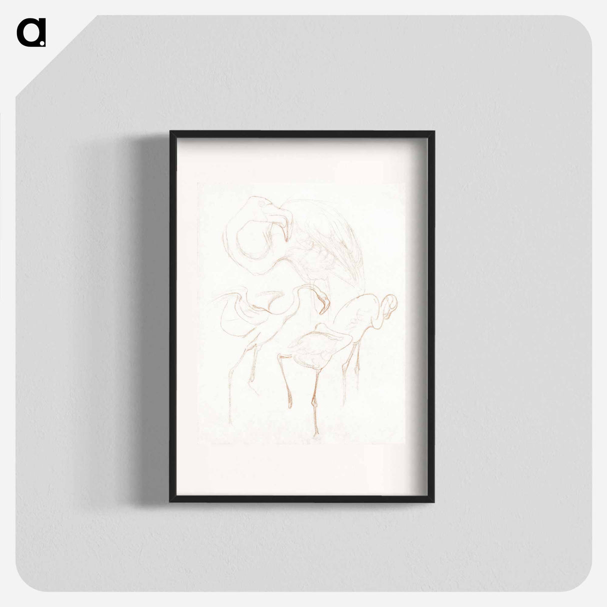 Studies van flamingo's - Theo van Hoytema Poster.