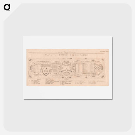 アートポストカード-Plan of the London Botanic Garden
 - イェール大学アートギャラリー Postcard.