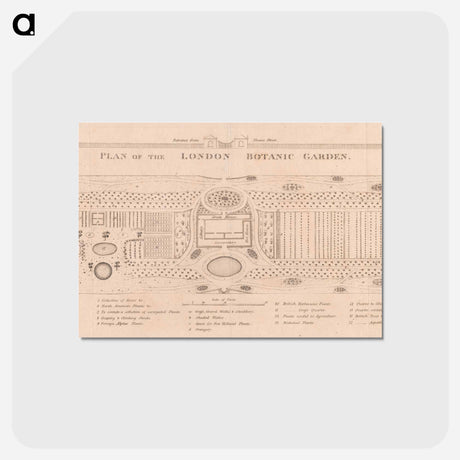 アートポストカード-Plan of the London Botanic Garden
 - イェール大学アートギャラリー Postcard.