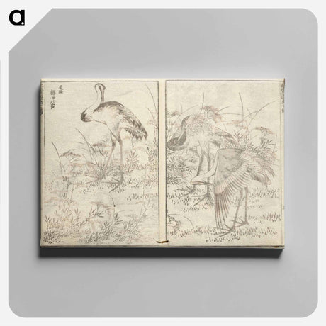 アートパネル-Hokusai manga (kuvakirja), vol. vii by Katsushika Hokusai - 葛飾 北斎 Canvas.