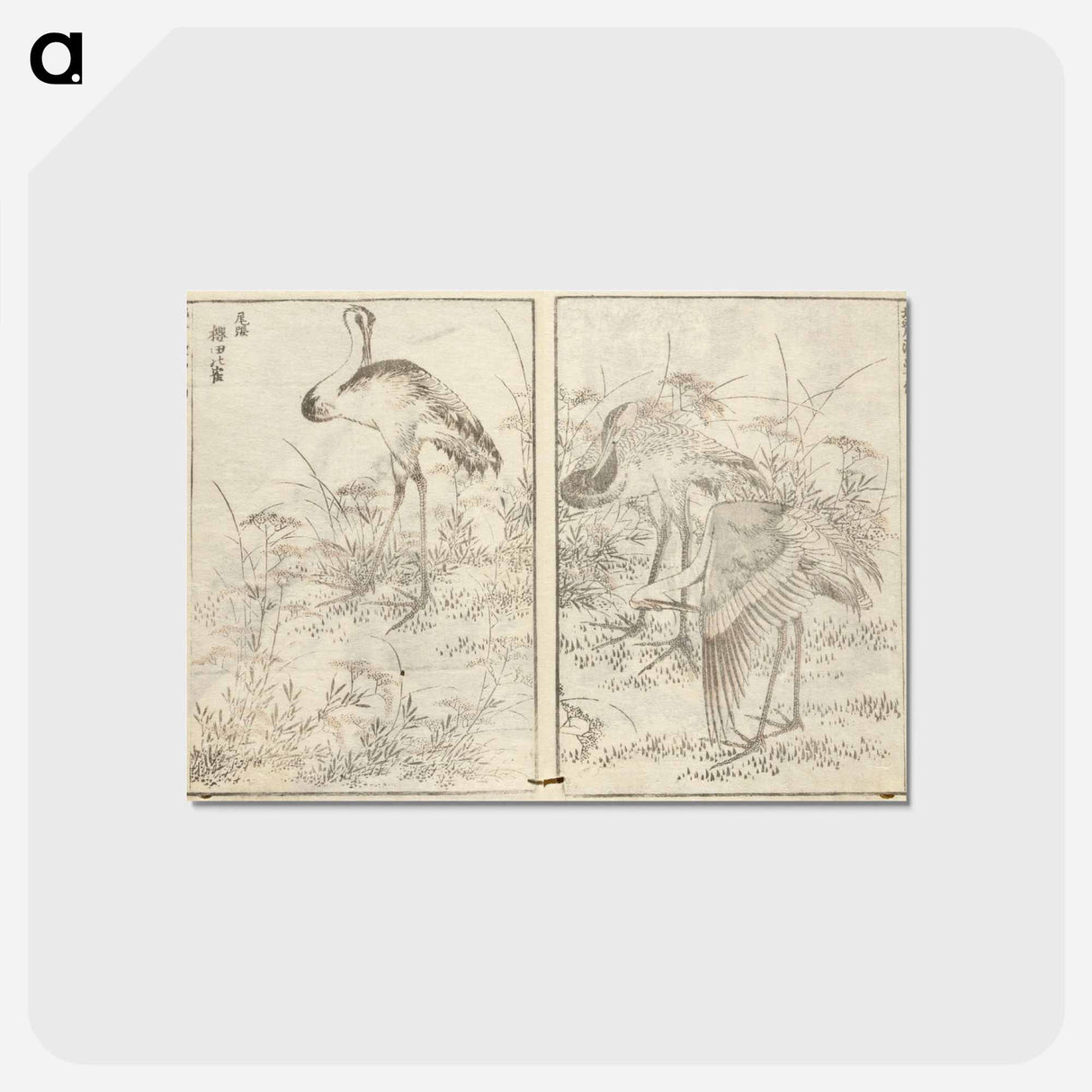 アートポストカード-Hokusai manga (kuvakirja), vol. vii by Katsushika Hokusai - 葛飾 北斎 Postcard.
