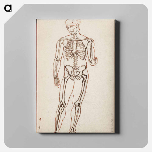 Ares borghese luurankotutkielmana - Albert Edelfelt Canvas.